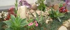 jardinagem-limeira-1437680461