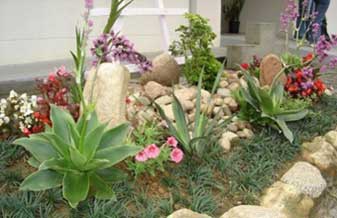 Espaço Verde Jardinagem - Foto 1