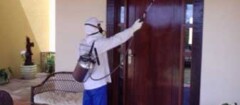 descupinizacao-limeira-1439587232