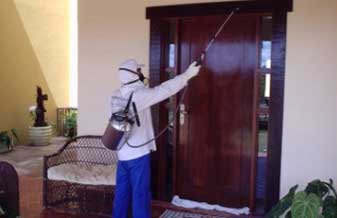 Drim Gold Dedetizadora - Foto 1