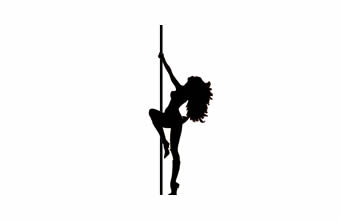 Pole Dance Studio Art Fitness - Foto 1