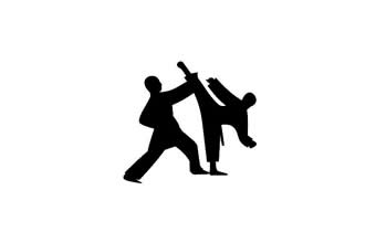 Associação Limeira de Taekwondo - Foto 1