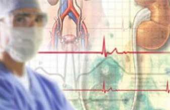 Dr. Lucero Borba Paz - Foto 1