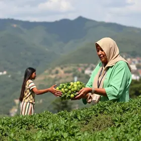 entidades assistenciais de Limeira