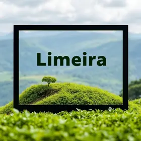 Limeira recebe selo da Caixa por gestão e sustentabilidade