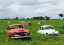 quatro carros abandonados em Limeira