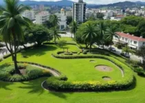 limpeza de 1 milhão de m² de áreas verdes
