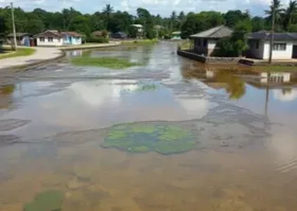 Últimas noticias de Limeira