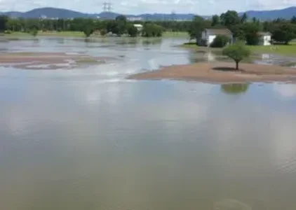 Últimas noticias de Limeira