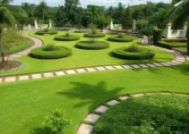 Limeira 3 milhões de metros quadrados capinados