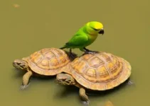 animais apreendidos