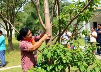 Últimas noticias de Limeira