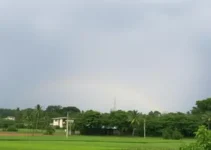 alerta amarelo