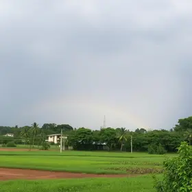 alerta amarelo