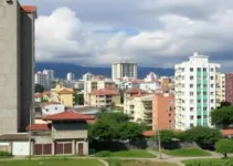 fiscalização contra cerol