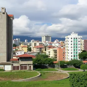 fiscalização contra cerol