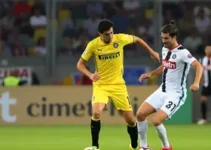 zagueiro da inter de limeira