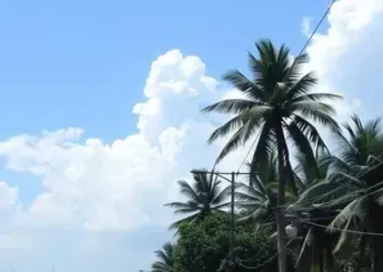 Últimas noticias de Limeira