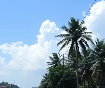 onda de calor
