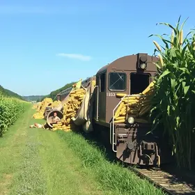 trem descarrilado