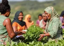 mulheres no agronegócio
