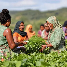 mulheres no agronegócio