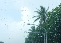 alerta amarelo de baixa umidade