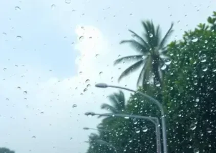 Últimas noticias de Limeira