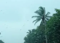 alerta amarelo