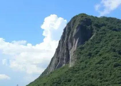 Últimas noticias de Limeira