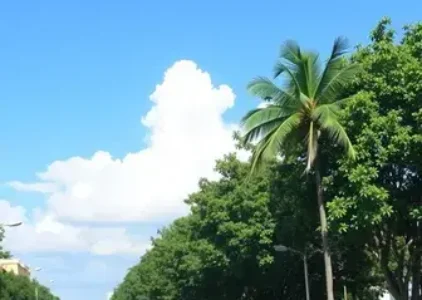 Últimas noticias de Limeira