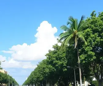 feriado em Limeira