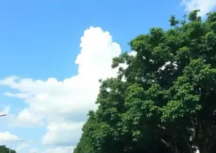 Últimas noticias de Limeira